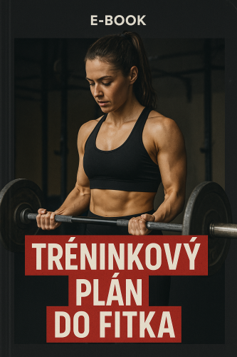 Tréninkový plán do fitka